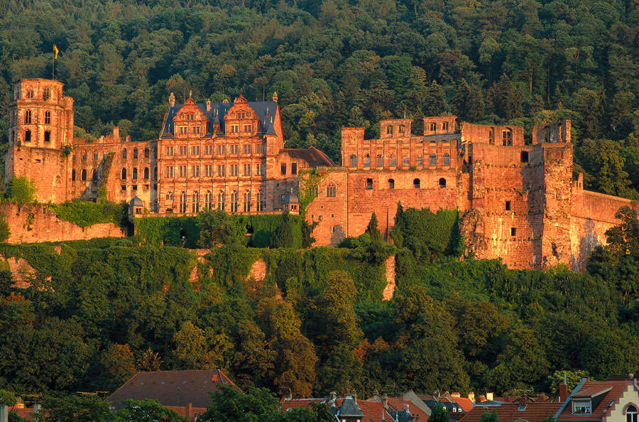 Heidelberg Castle Tour