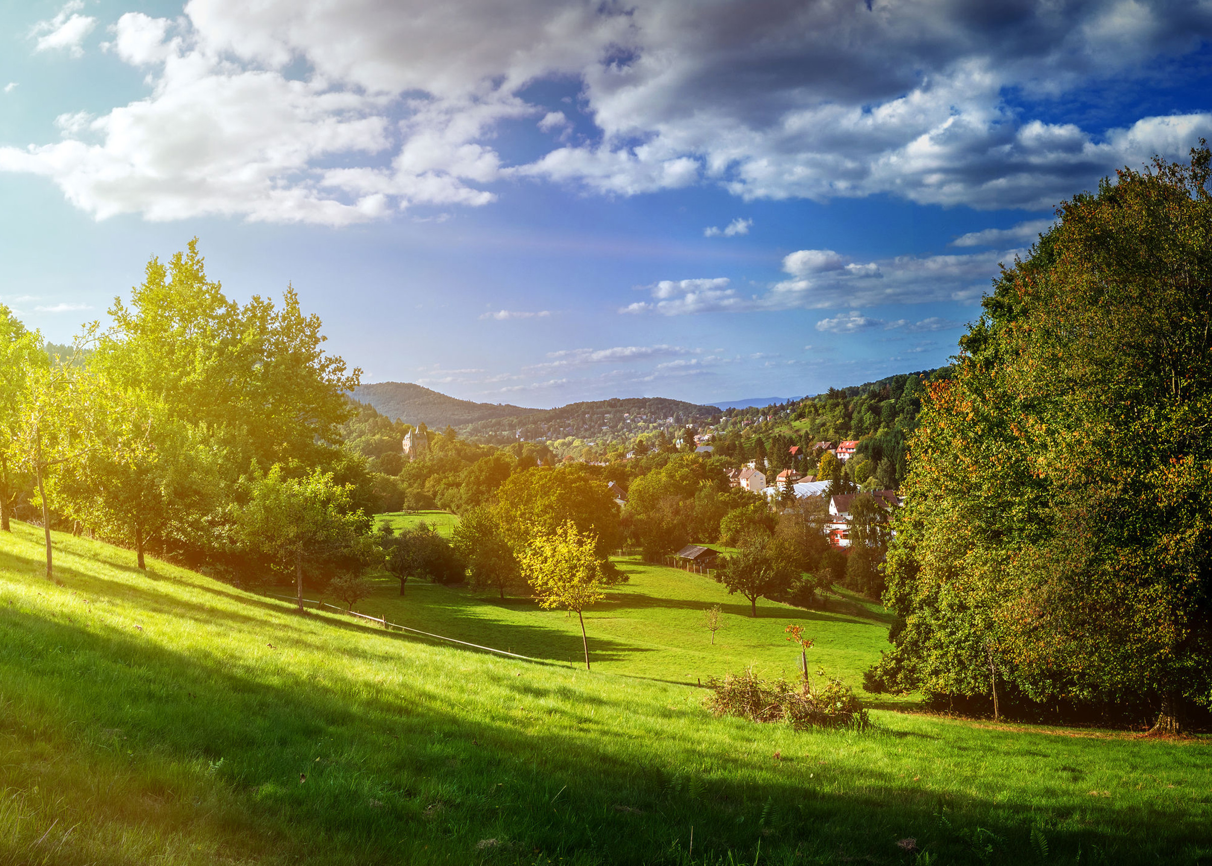 Tour through the Black Forest - Exclusive Germany